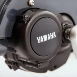 Babboe Curve Mountain -Pro Velo Gear Magasin babooe curve mountain 4