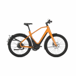 Speed Bike Gazelle N°1