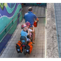 Vélo Cargo électrique Bike 43 Alpster -Pro Velo Gear Magasin velo cargo electrique bike 43 alpster nexus inter 5e batterie 500wh jusqu a 150km 2