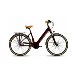 Vélo électrique E-Integrated 30 400 WH