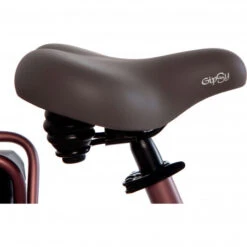 Vélo électrique Familial CORTINA E-U4 Family 7v -Pro Velo Gear Magasin velo electrique familial cortina e u4 family 7v 5